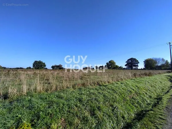 PROMOTEURS / INVESTISSEURS Terrain constructible Bacilly 13510 m2