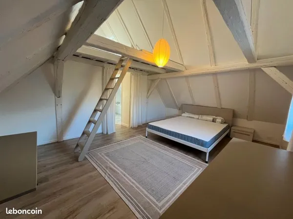 Duplex meublé 52 m² (70 m² au sol) - Strasbourg Robertsau