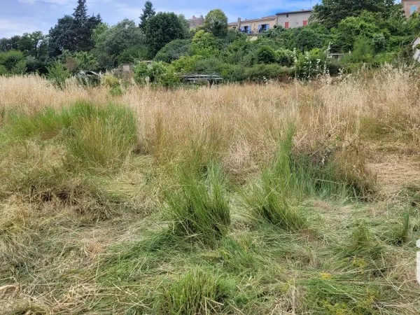 Terrain 1312 m²