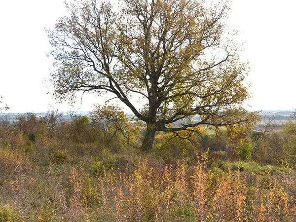 Giroussens Grand terrain dominant de 1954 m2 proche village cadre résidentiel