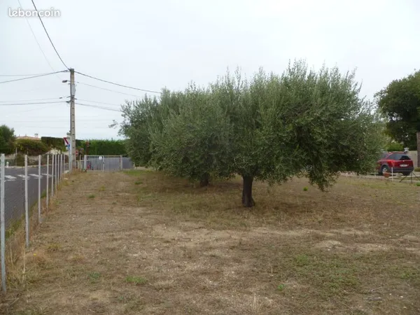 Terrain constructible