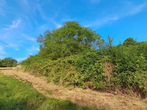 Terrain 3035 m²