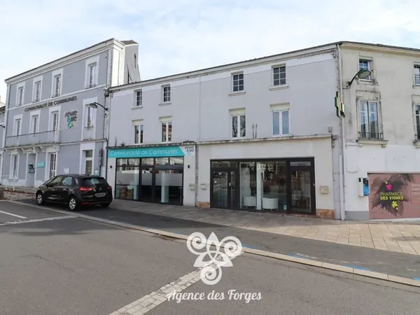 Immeuble de rapport - Maison 260 m² - centre bourg de Vallet