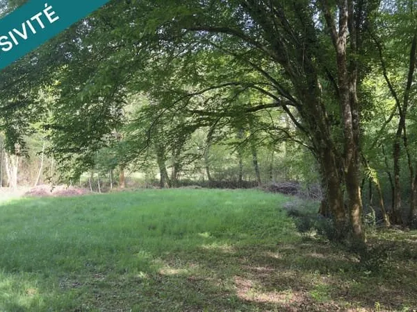 Terrain de loisir de 6056 m² traversé par un ruisseau courant