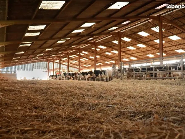 Exploitation laitière et polyculture clés en main, excentré du village (avec un outils de travail op