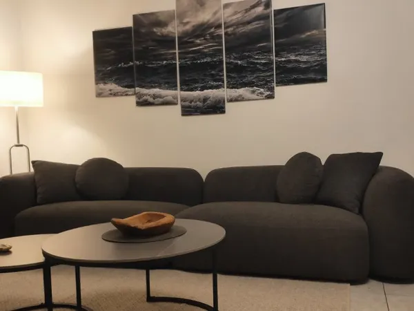 Appartement T3 ,très bel espace de vie,2 chambres, entièrement refait a neuf