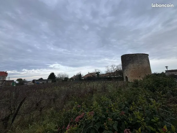 Terrain 4996 m² Blaye