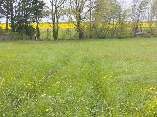 TRIZAY LES BONNEVAL