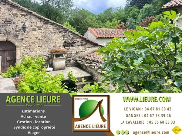 En Cévennes, propriété en viager, à vendre