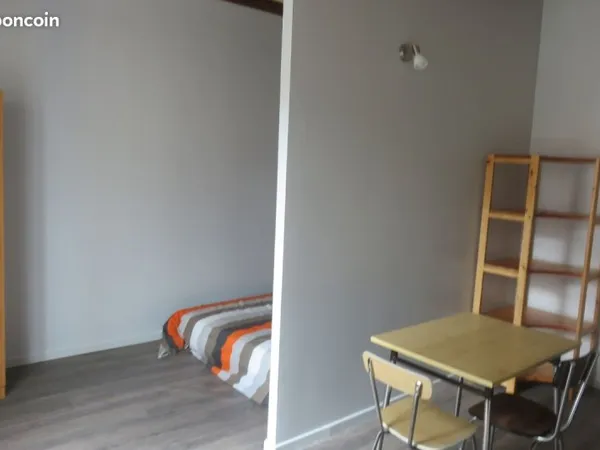 Studio centre ville