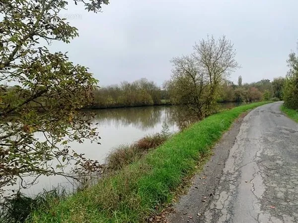 Marais Poitevin - Bords De Sevre