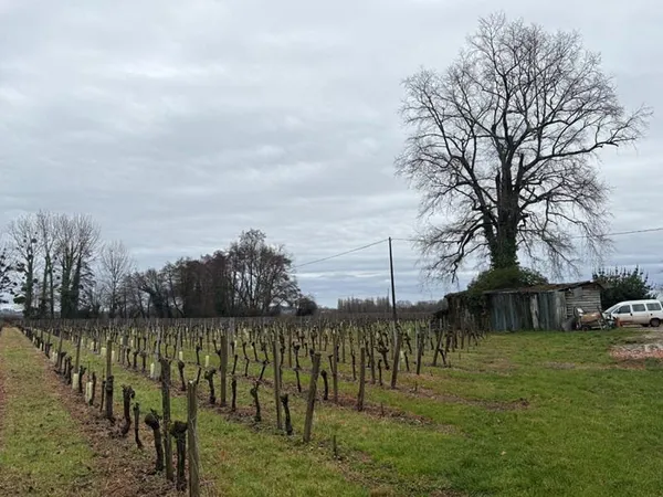 RARE : Devenez propriétaire de votre "Micro-Château" en AOC Saint-Émilion