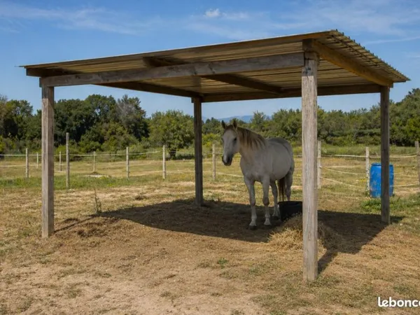 Terrain pour chevaux au calme - Béziers