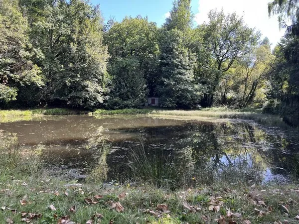 Etang de 0 pièces principales