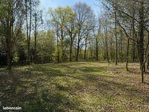 Terrain 3000 m² Léognan