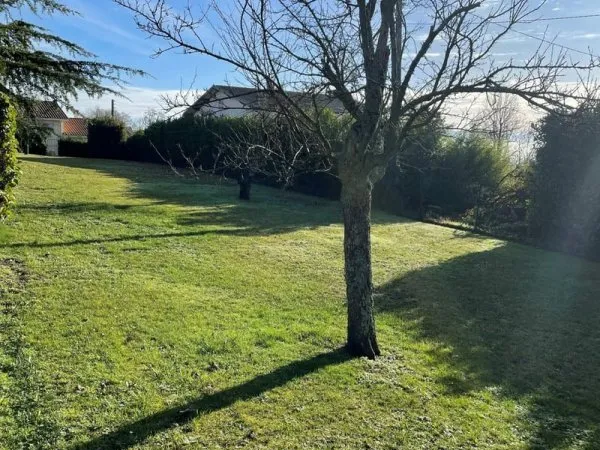 Terrain 1077m²