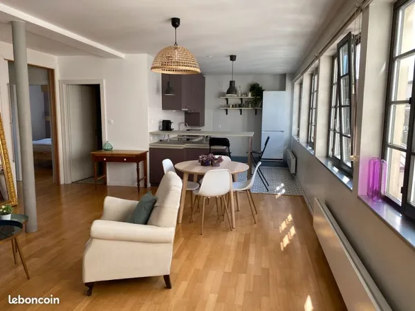 Magnifique appartements type loft