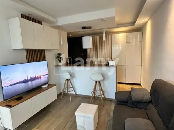 Meublé 28 m² Nogent Sur Marne