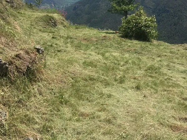 Terrain 800 m2 pour construire 240 m2 vue panoramique Val de BLORE - Rimplas