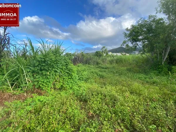 Exclusivité - Terrain à vendre 320 m2 constructible secteur sainte-anne ( cambourg) 97437