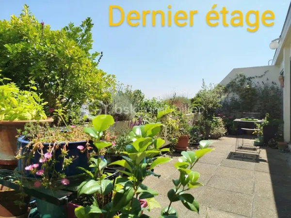 Appartement 2 pièces 50 m²
