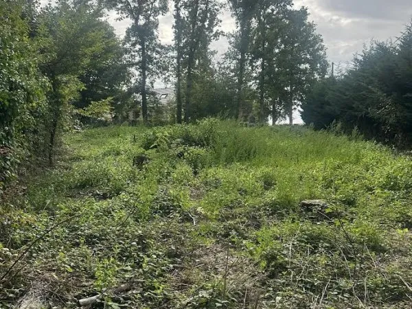 Terrain 980 m²