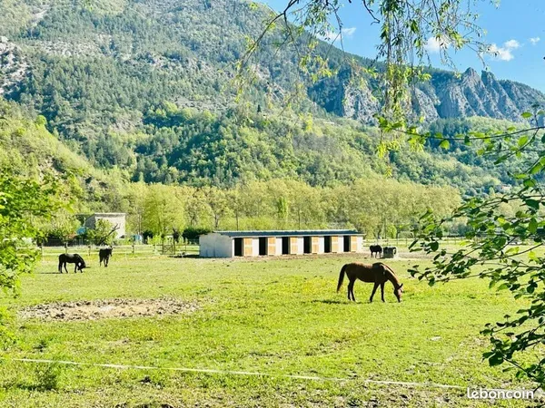 Vente propriété équestre 7 hectares , plat à Entrevaux , 45 min de Nice Lingostiere , 1h15 de cannes