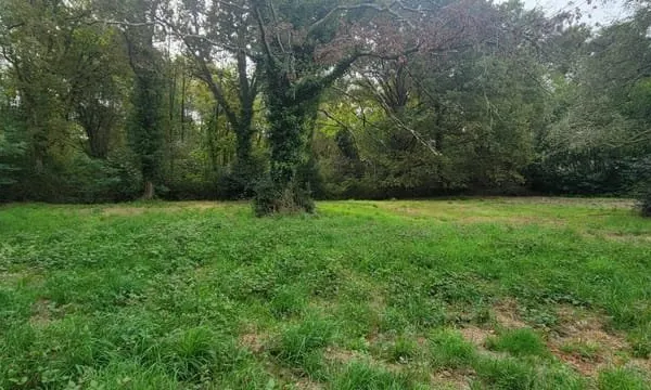 Terrain Lacanau de Mios