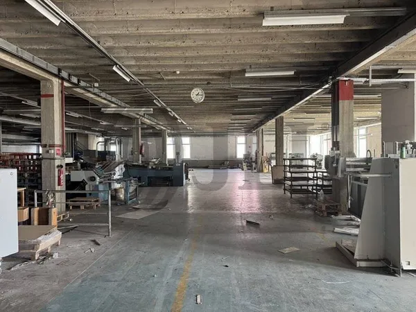 Local d'activité 778 m²