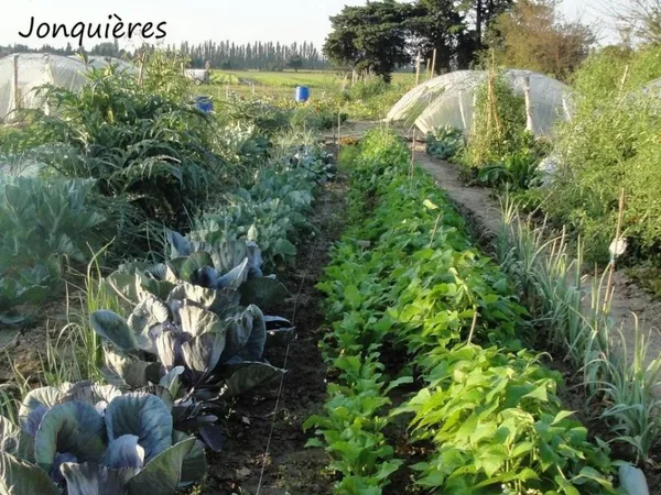 Location jardins potagers Jonquières 84