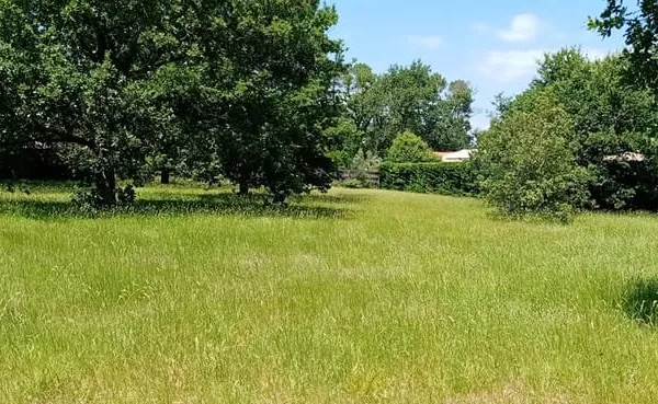 TERRAIN à bâtir à Lège