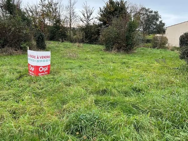 Terrain 564 m²