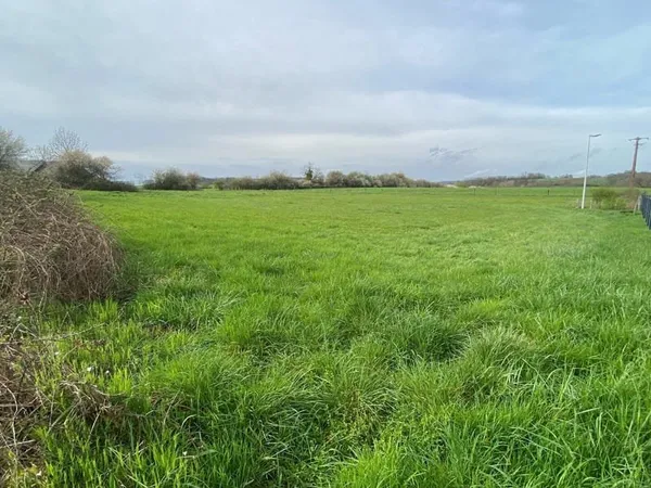 Terrain à bâtir Vente Velleminfroy  1378m² 42000€