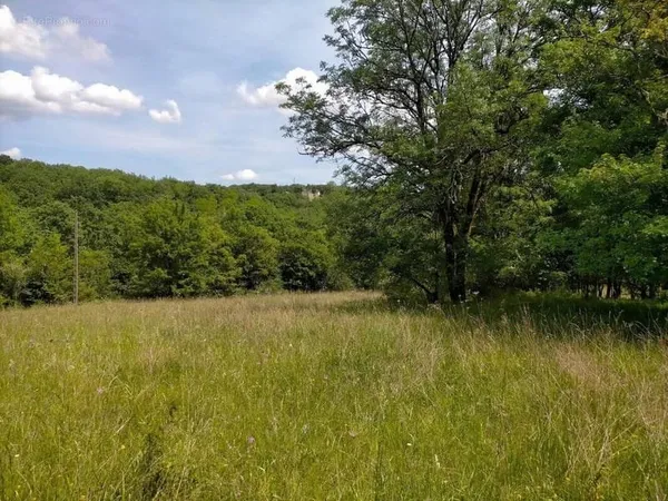 Terrain 1987 m²