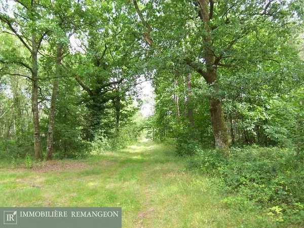 Maison Vente Aubigny-sur-Nère   498200€