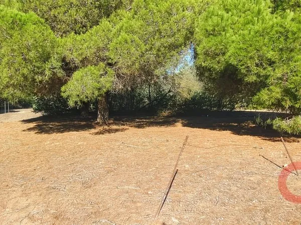 Terrain 830 m²