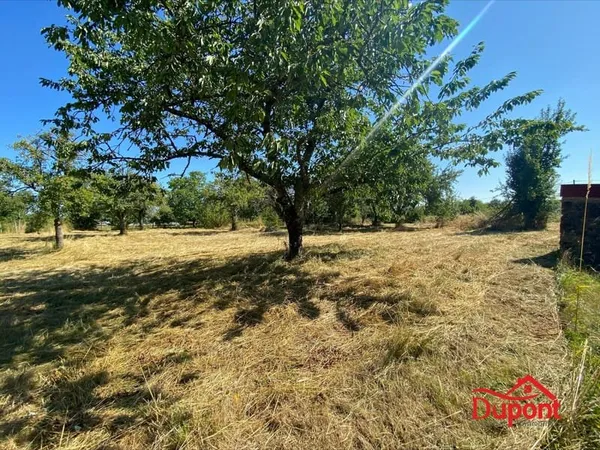 Trés beau terrain constructible sur la commune de Cussangy