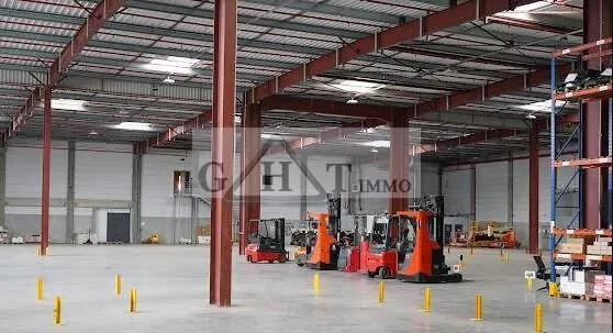 A LOUER GRETZ ARMAINVILLIERS ENTREPOTDE 12 000 M²