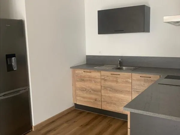 T3 70m2 refait à neuf- centre MONTBELIARD