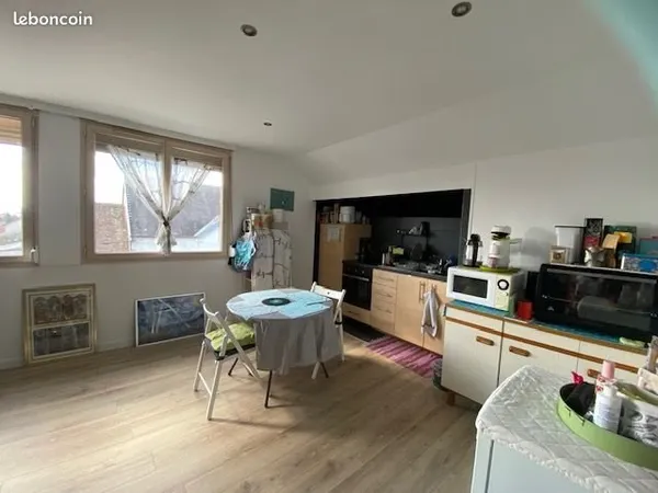 Appartement climatise tres bon etat centre ville