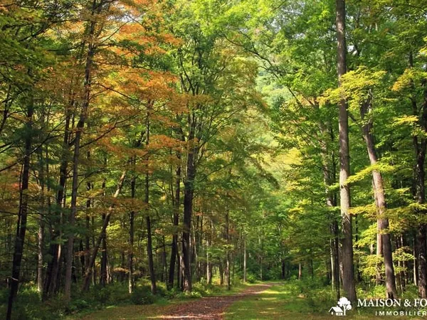 TRÈS BELLE PROPRIÉTÉ DE CHASSE DE 161ha