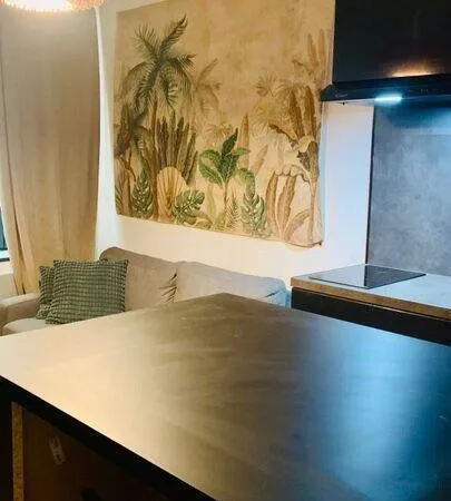 Studio 1 pièce 22 m²