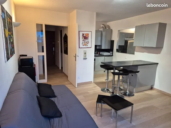 Appartement T2 meublé - 38 m² - Pau (Allée Lamartine) + Parking fermé en sous sol