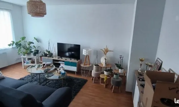 Magnifique T3 Duplex