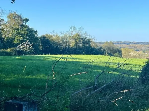 Terrain 3500 m²