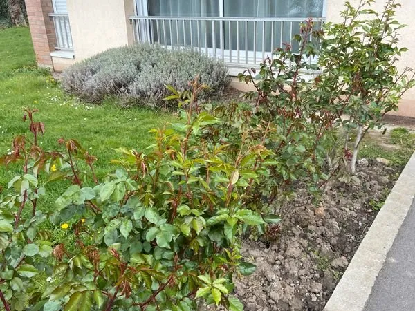 Location apt F2