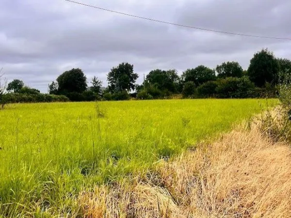 Terrain à bâtir - 821m² - Savigny