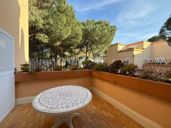 A vendre - appartement f2 bis - argeles -sur -mer
