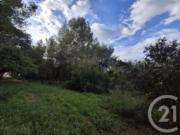 Terrain 57542 m²