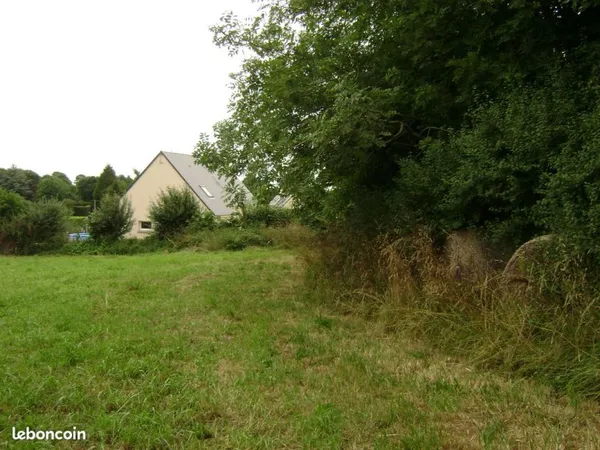 Terrain constructible